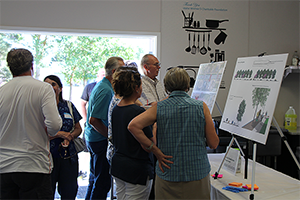 Discussing Design Concept