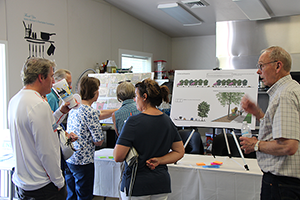 Discussing Design Concept